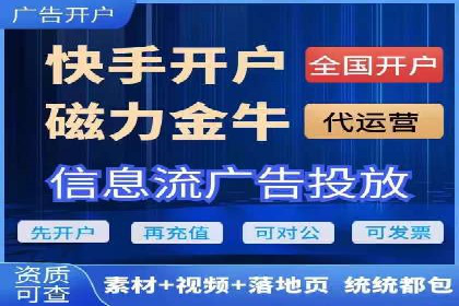 行业领先企业的SEM运营策略案例解析